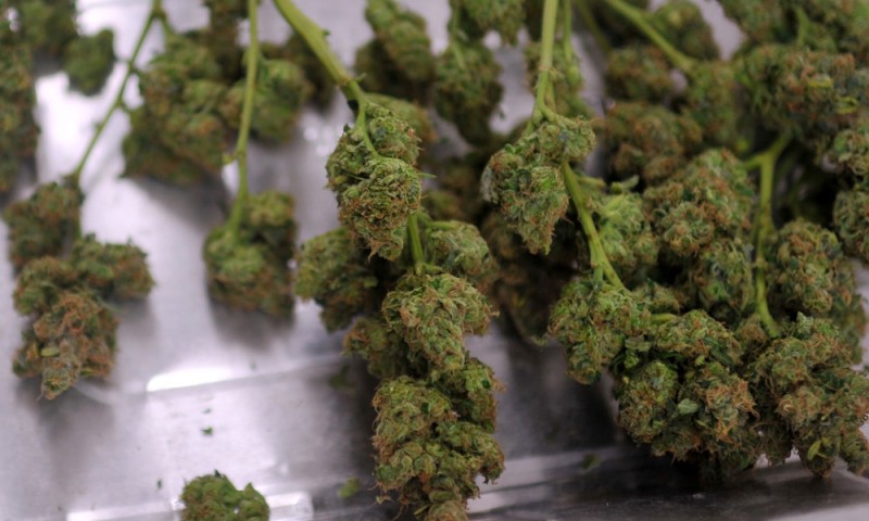 http://www.thecannabist.co/wp-content/uploads/2015/10/colorado-marijuana-online-potguide-acquires-kindreviews-800x480.jpg