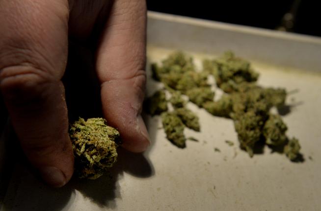 Colorado marijuana: The do's and don'ts of new recreational pot law