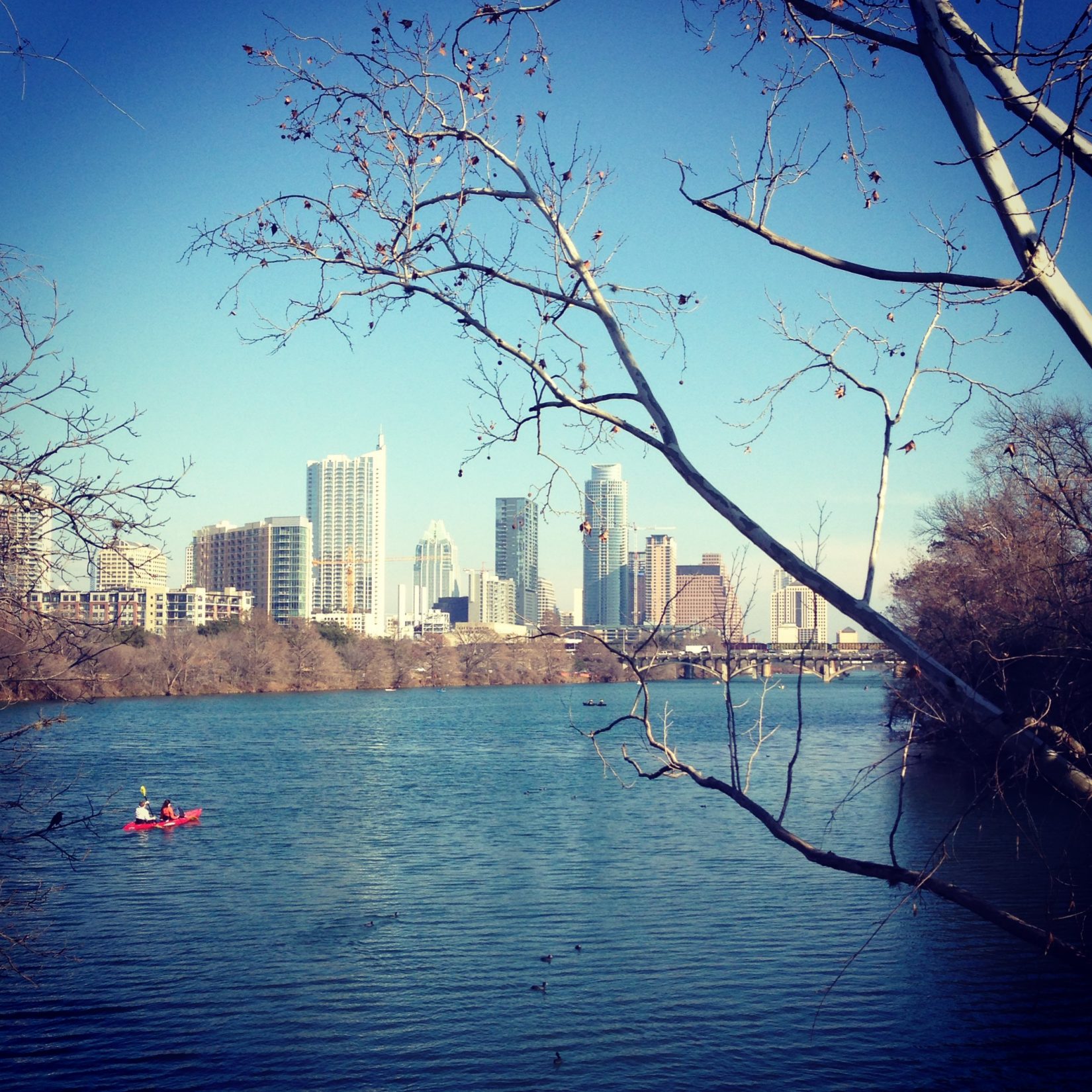 Weed Sport: Kayaking in Austin, Texas