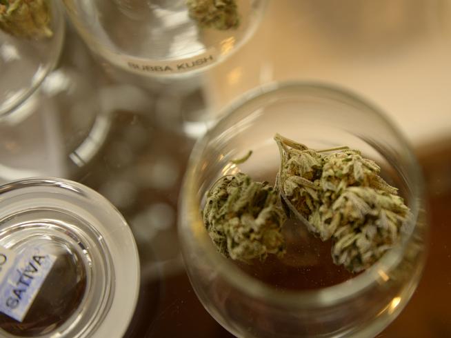 Colorado legislature's economists predict smaller marijuana tax haul