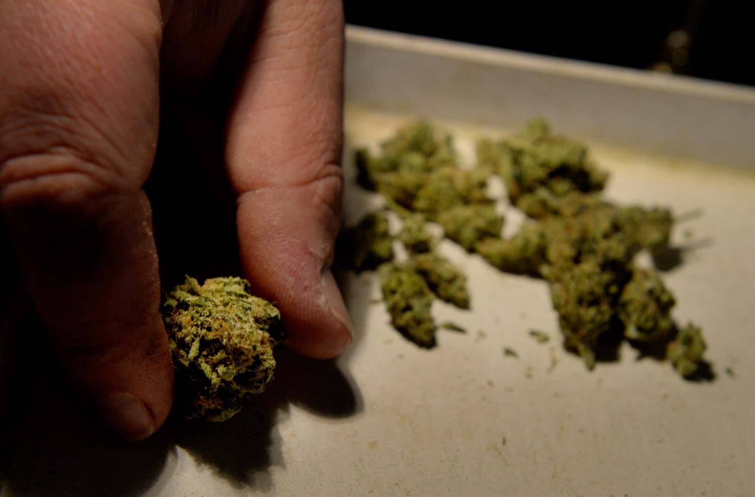 Parenting: A hope that my son waits until adulthood to choose marijuana