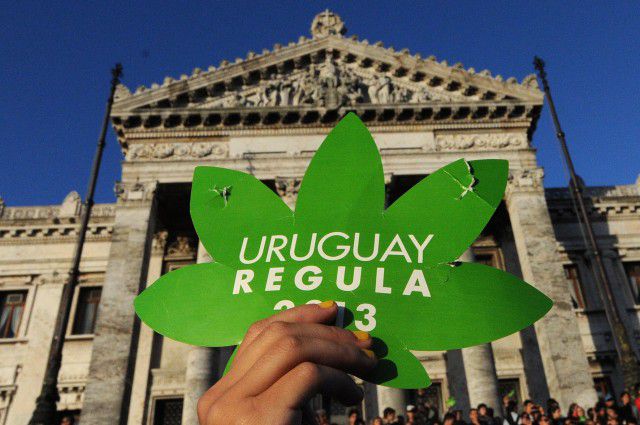Uruguay legalized pot. The problem? They don't have enough of it.