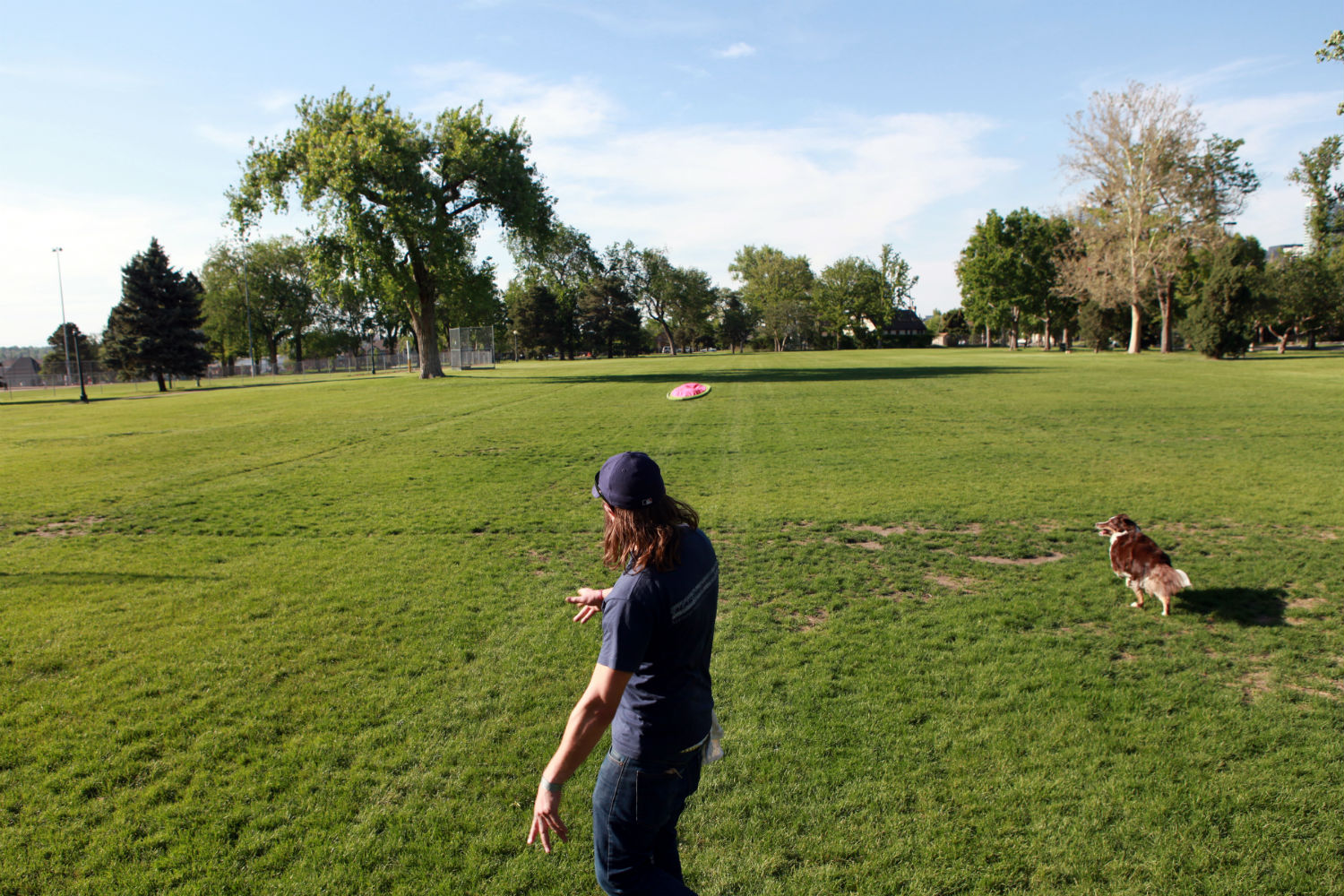 On marijuana-infused tincture and just letting loose in the park with the Frisbee. (Lindsay Pierce, The Denver Post)