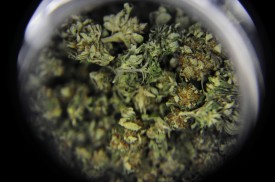 Denver's new Marijuana Advisory Council will hash out policy