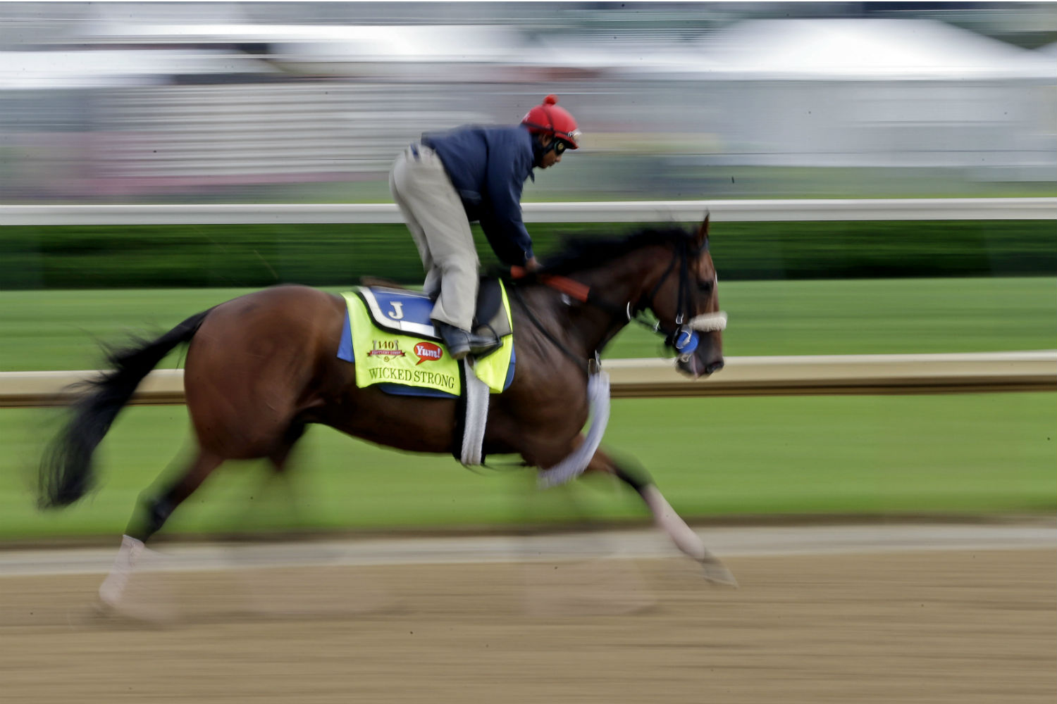 This horse will run in the Kentucky Derby on May 3, but can you tell if its actual name is a horse's name or a strain of cannabis? Take our quiz. And find out this horse's name on the second page of this post -- along with all the other answers. (Morry Gash, AP)