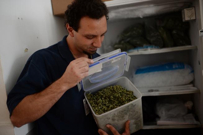 Food inspections flag health threats in edible marijuana products
