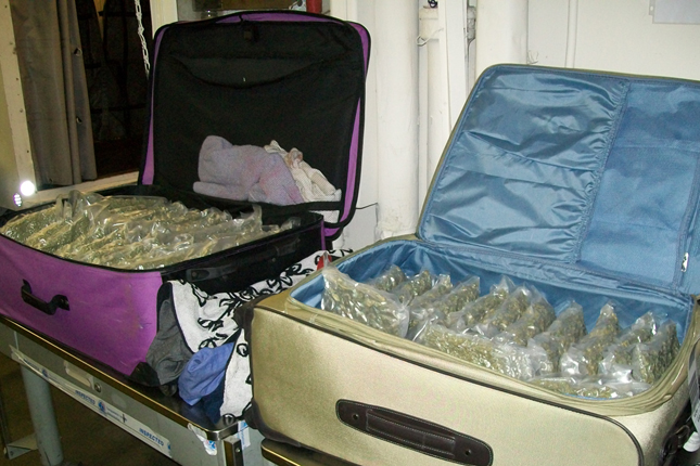 A 26-year-old woman was arrested May 2 after she was caught traveling with 81 pounds of marijuana in her suitcases. (Transportation Safety Administration)