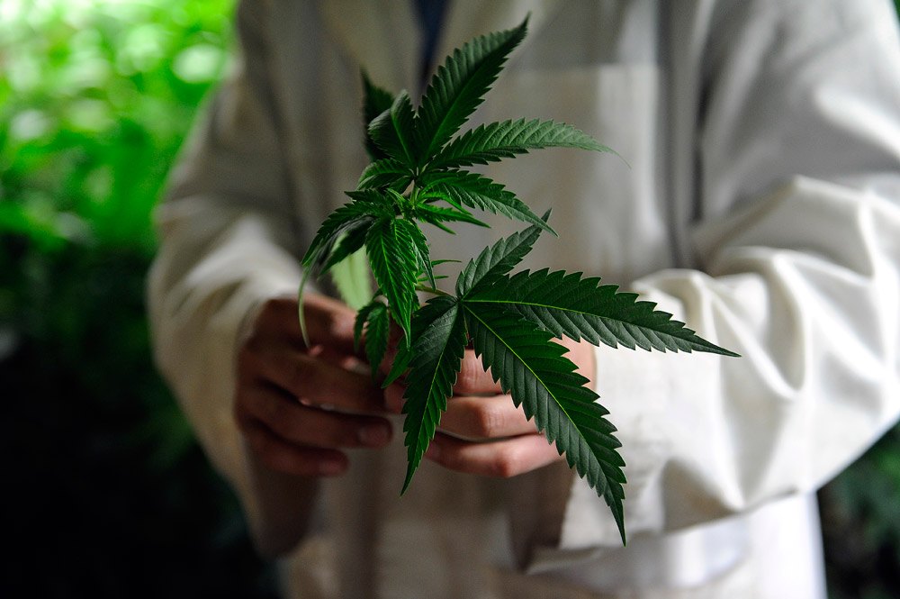 Colorado preparing to spend $9 million on medical marijuana research
