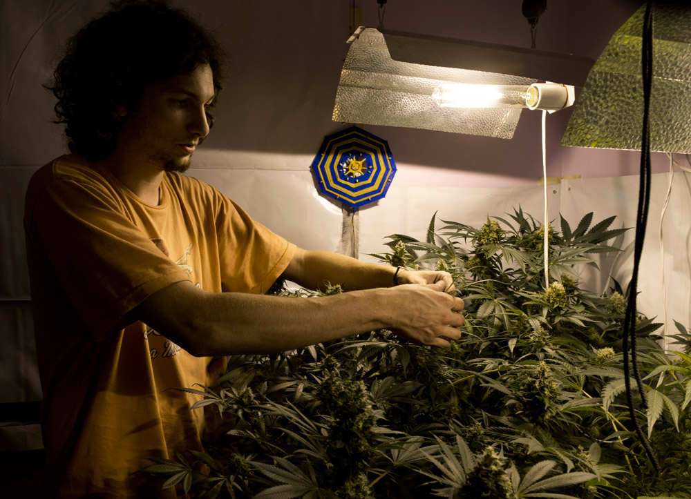 Uruguay's first pot-growing club seeks government recognition