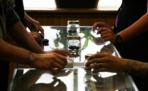 More pot shops plan to open as weed sales get rolling