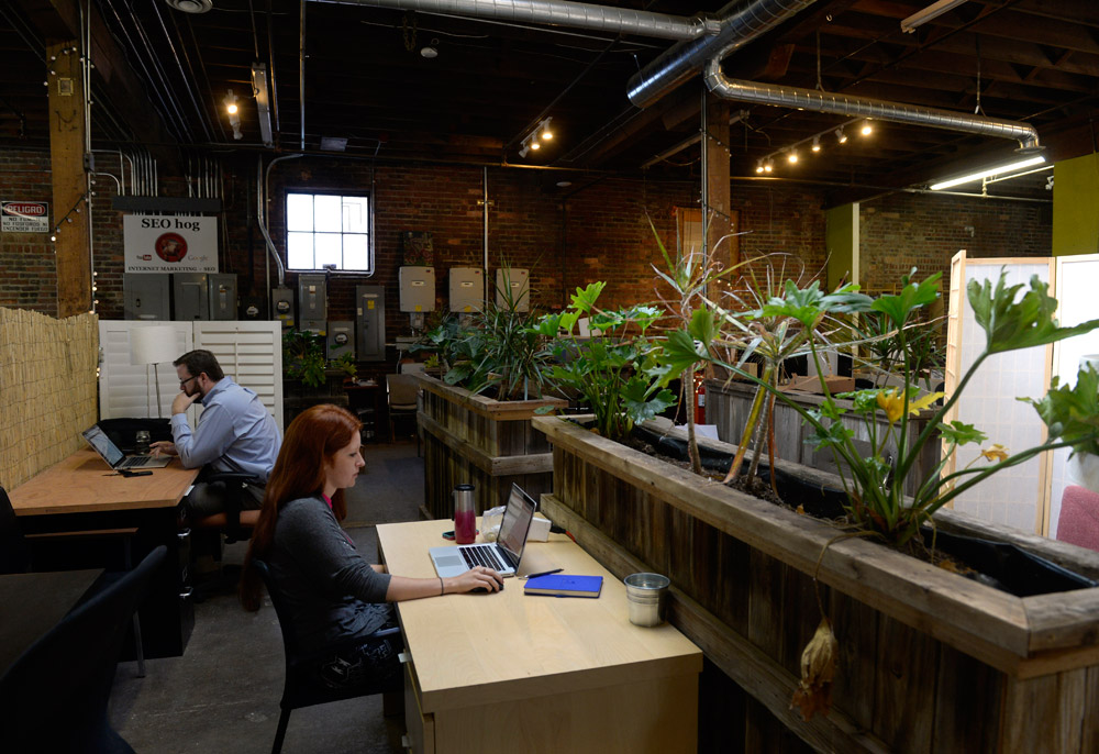 Co-working spaces expand into niche markets, and marijuana is one of them