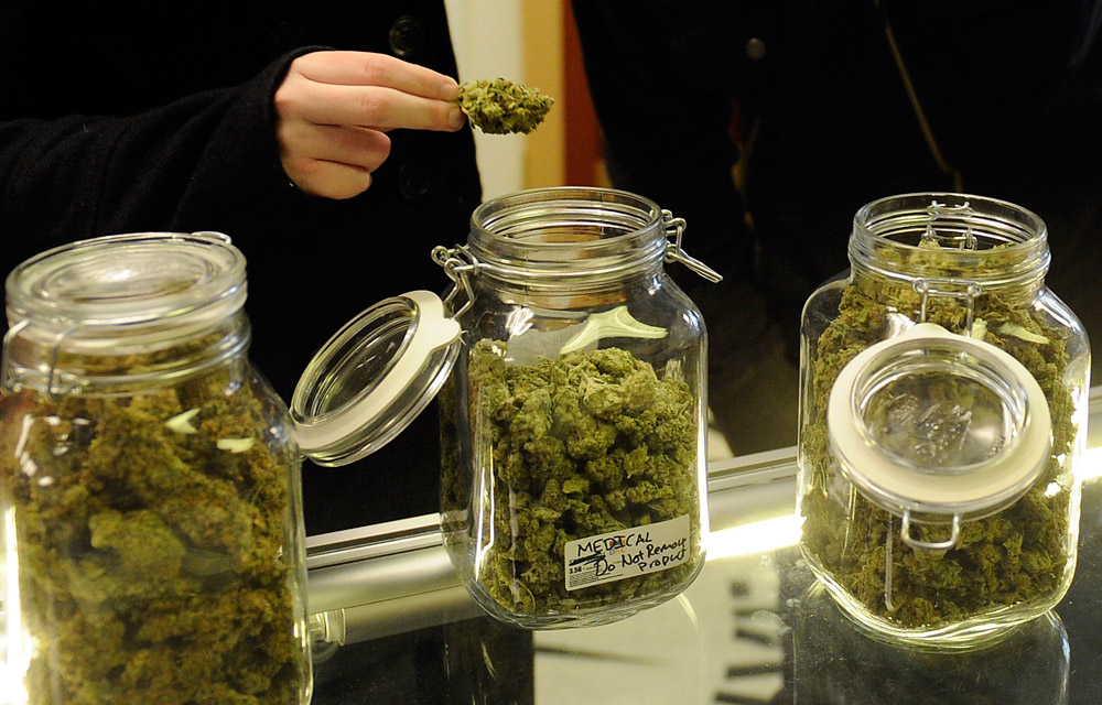 Oregon to vote on recreational marijuana in November