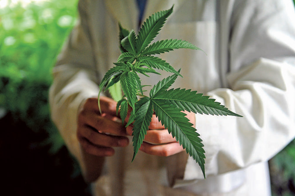Who’s next in legal American weed: Alaska, Oregon, N.Y., D.C. and beyond