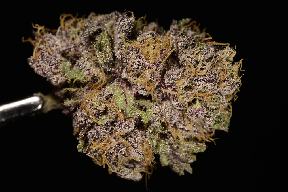 Grape Ape (marijuana review)