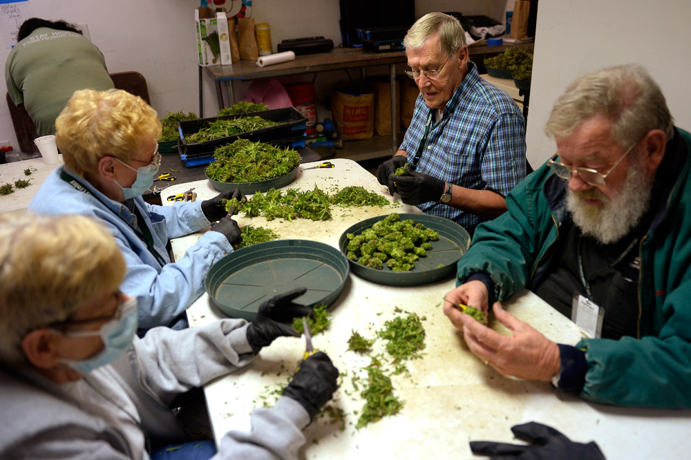 Cannabist Q&A: Harvest time, 420-friendly lodging, joint-rolling contest
