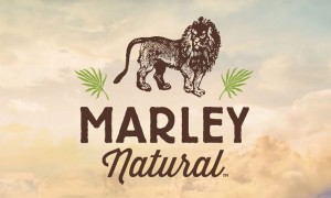 Logo for Marley Natural cannabis products, created in partnership with family of reggae legend Bob Marley and private equity firm Privateer Holdings. (Marley Natural)