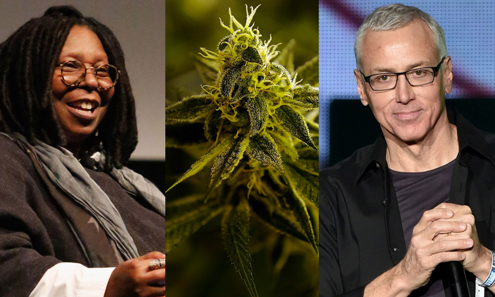 Marijuana legalization best of 2014: Whoopi, Dr. Drew and 13 other pot op-eds