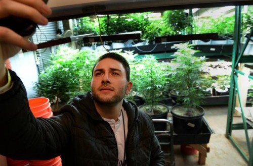 Pot tourism grows in Colo. even as officials refuse to endorse it