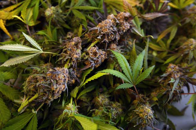 Colorado gets extension from SCOTUS on marijuana lawsuit