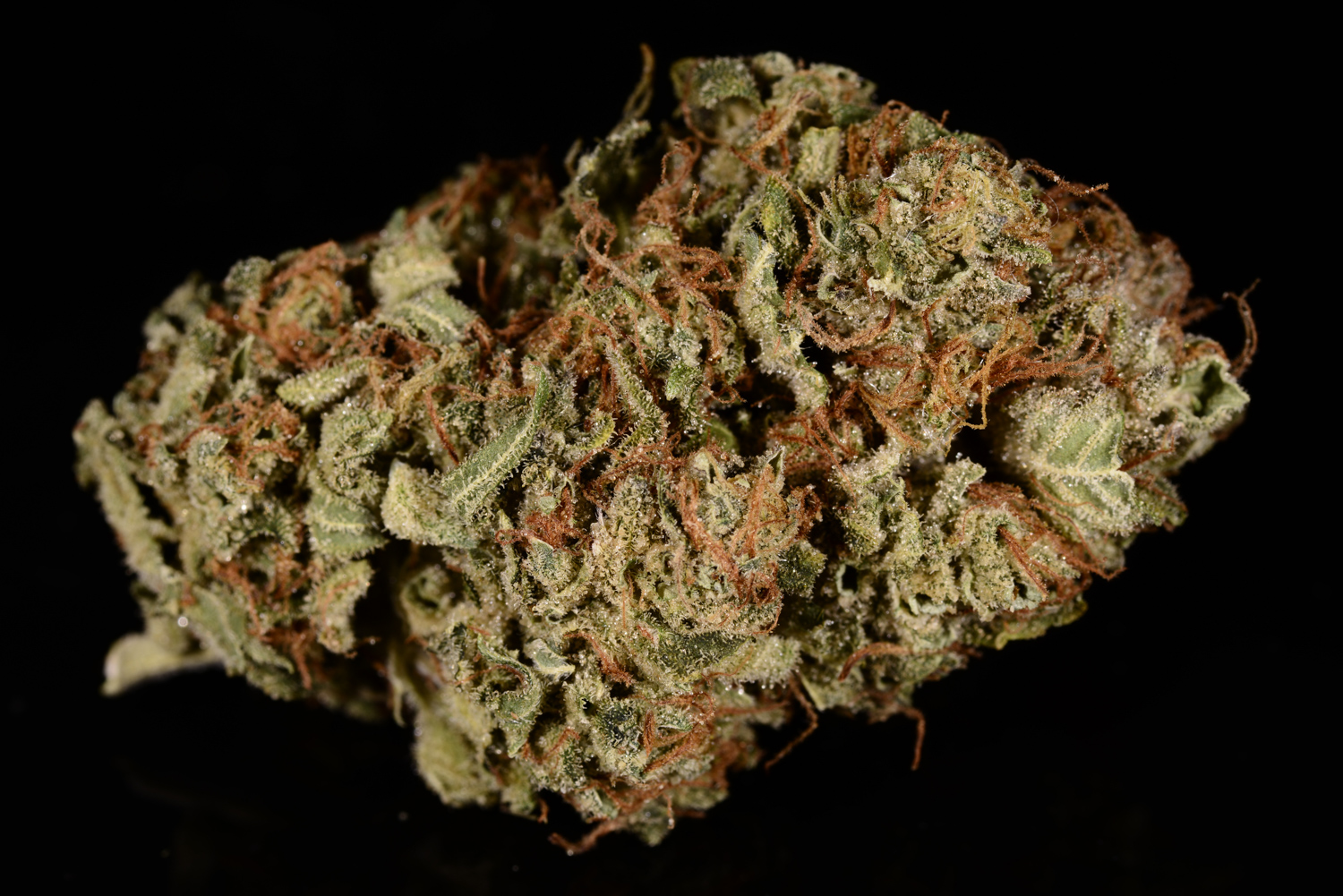 An example of Bio Diesel from a Colorado dispensary. (Ry Prichard, The Cannabist)