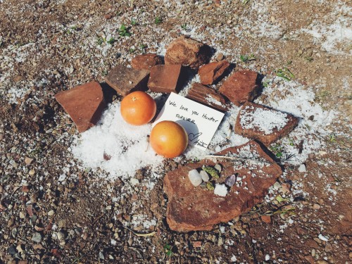 An offering for Hunter S. Thompson, from his widow Anita Thompson and others, sits atop a ridge on Owl Farm. (Katie Shapiro, The Cannabist)