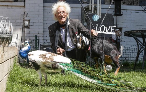 Bill Levin, a cannabis advocate and leader of the First Church of Cannabis, poses outside his home in Indianapolis, with his goat and peacock on May 19, 2015. Levin has said he established the church as a test of the state's Religious Freedom Restoration Act, which gives people the right to follow their religious practices without government interference. (Michelle Pemberton, The Indianapolis Star via AP) 
