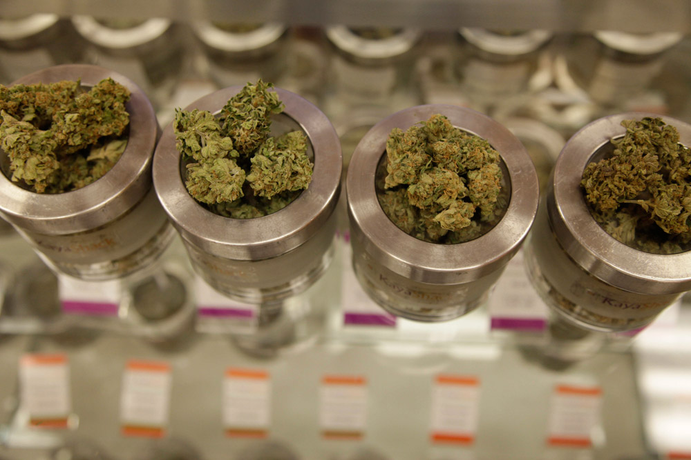 Oregon marijuana in a nutshell: 5 things you need to know