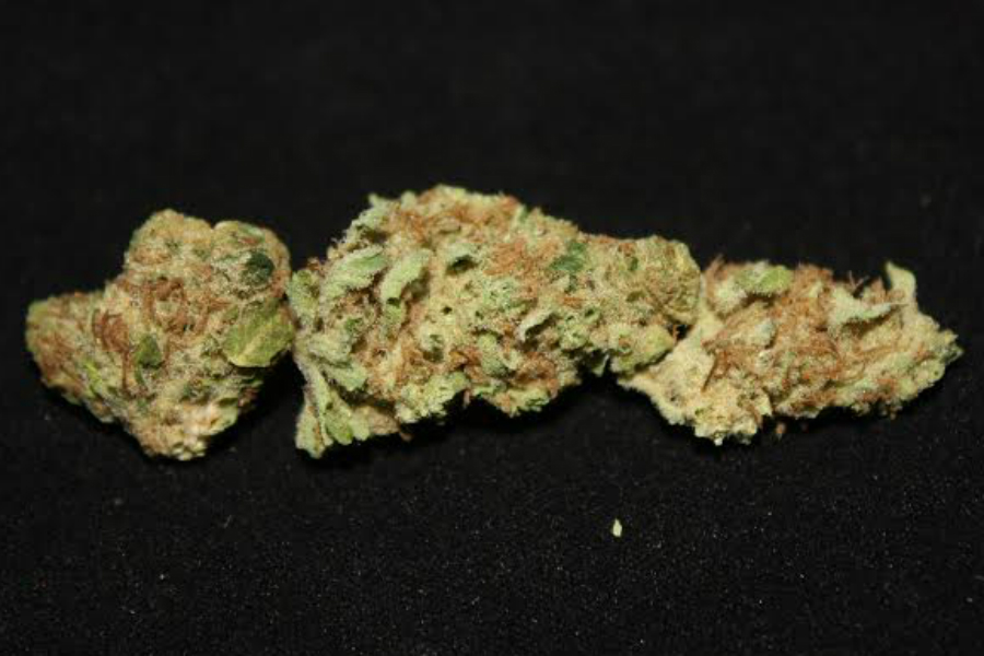 Sour Kush from Native Roots Edgewater (Jake Browne, The Cannabist)