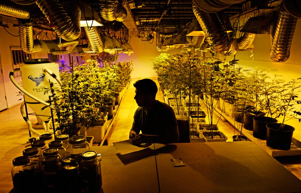 Marijuana legalization officially on Ohio November 2015 ballot
