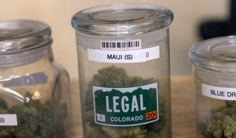 Marijuana on display at Colorado pot shop High Country Healing. (Kathryn Scott Osler, Denver Post file)