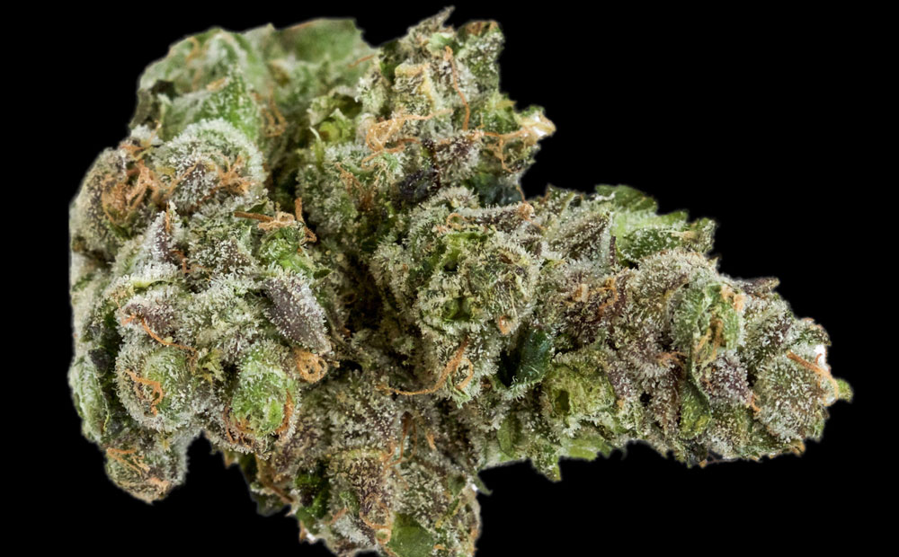 G6 #3 strain marijuana review