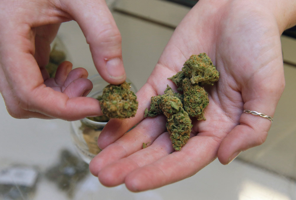 California marijuana: Legislature prepares to vote on medical marijuana package