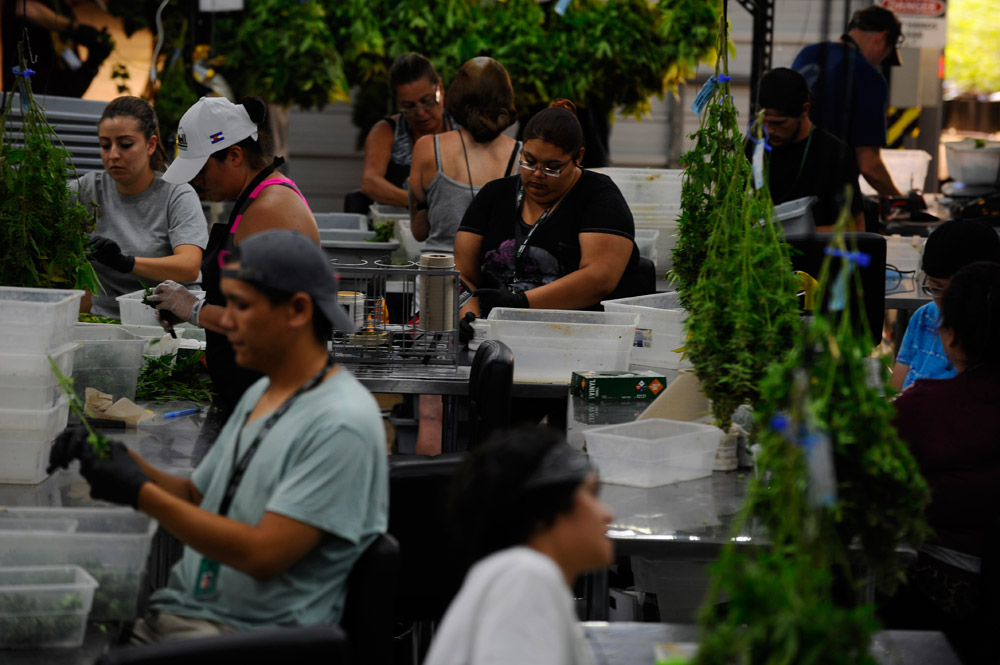 Colorado marijuana tax holiday: Retailers take advantage