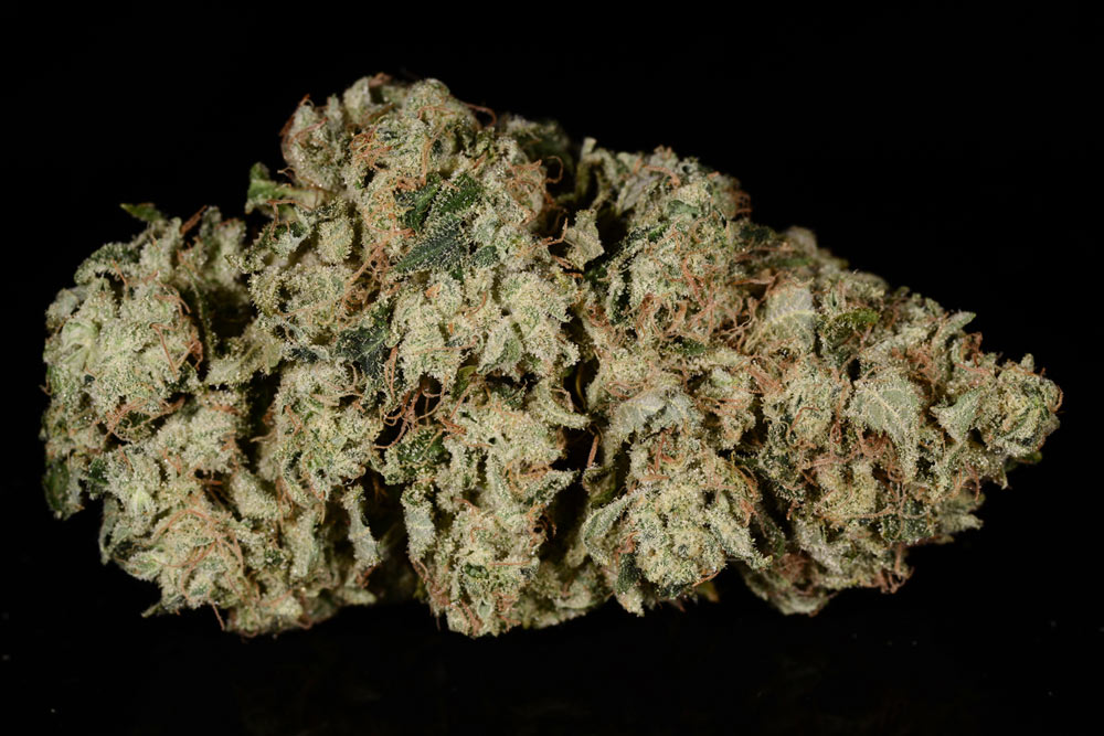 Ultimate '91 Chem Dawg (marijuana review) - The Cannabist