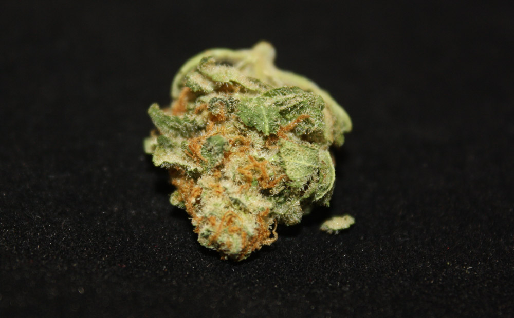 3D CBD, a Leafs by Snoop flower strain. (Jake Browne, The Cannabist)