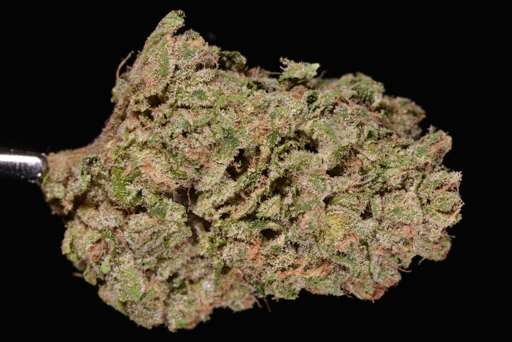 aspen-OG-strain-marijuana-review-the-cannabist