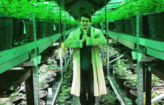 Namaste. It's a serene scene when John Mayer and other members of Grateful Dead outfit Dead & Co. tour Medicine Man's mammoth marijuana cultivation facility. (instagram.com/johnmayer)
