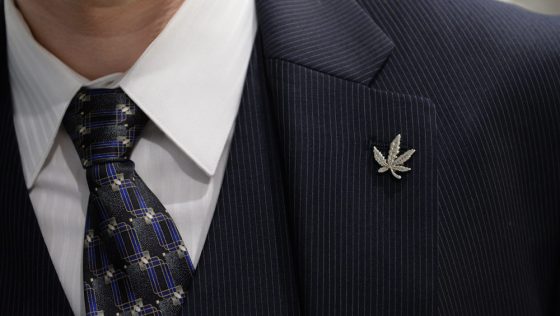 Cannabist Show: He's an industry lobbyist; She gives advice about weed