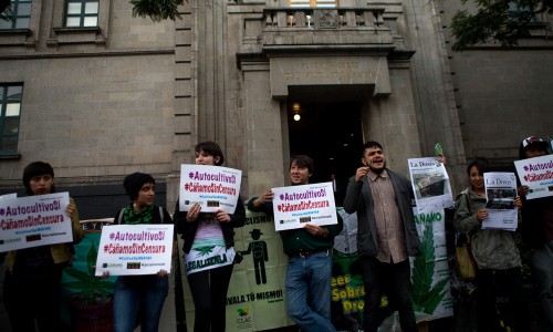 Mexico supreme court opens door for legalized marijuana
