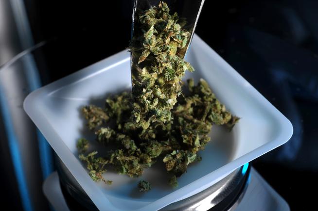 Drug testing: HR managers tighten marijuana policies since legalization