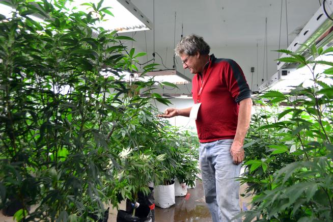 Colorado cannabis industry embraces traditional biz skills