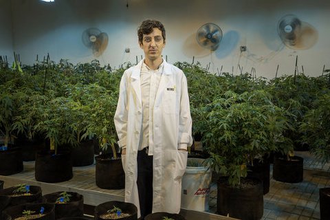 Vice offers another Colorado pot story, but with a new angle