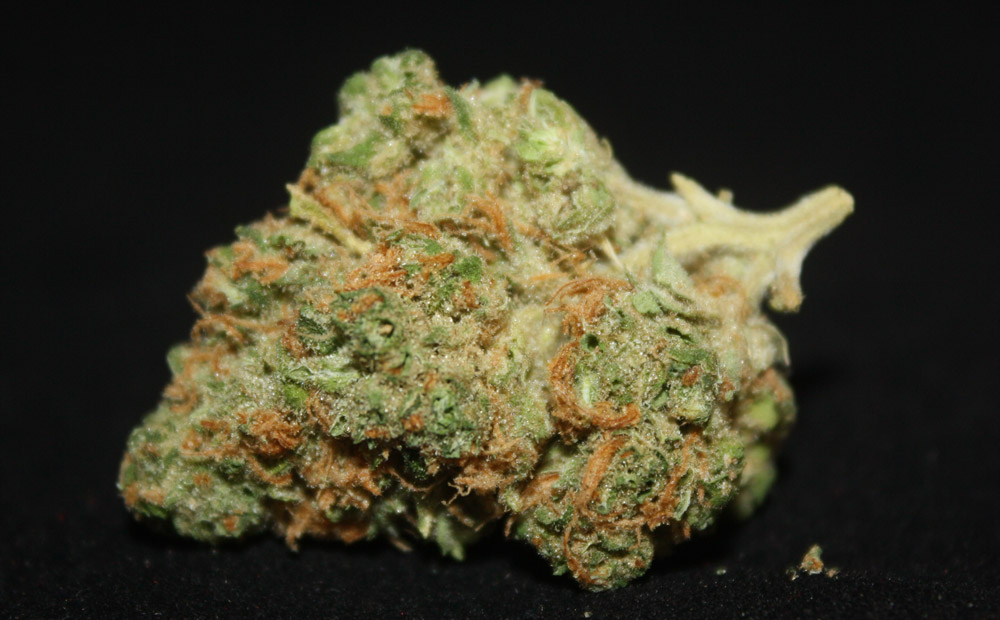 sage-n-sour-marijuana-review-the-cannabist