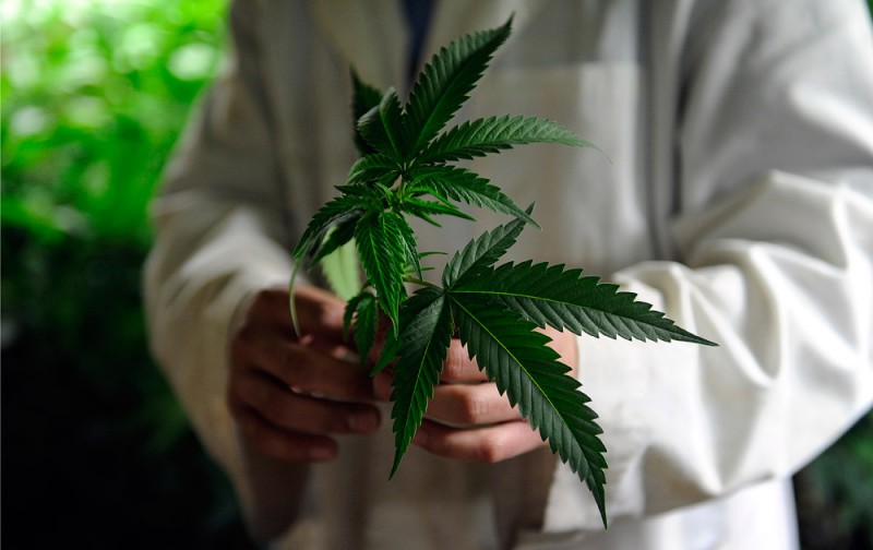 DEA gives approval to Colorado-funded study on PTSD and marijuana