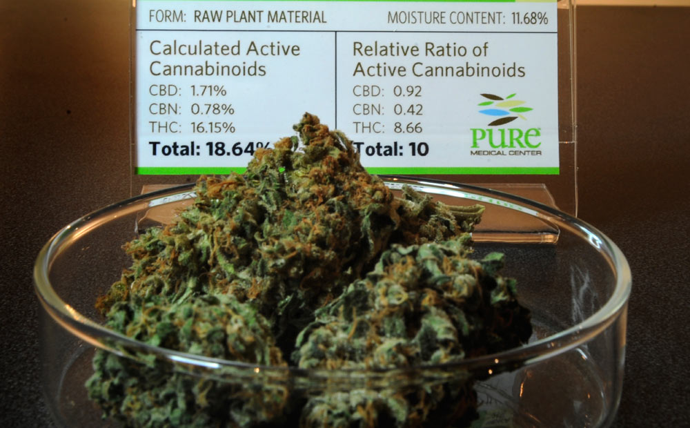 A cannabis strain is displayed with THC potency lab results