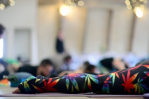 Mia Desmedt of Denver relaxes in a warm-up pose at Yoga With A View on, May 15 2016. The event paired carefully selected marijuana strains with yoga and a multiple course brunch. (Vince Chandler, The Denver Post)