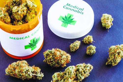 Medical marijuana buds in large prescription bottle
