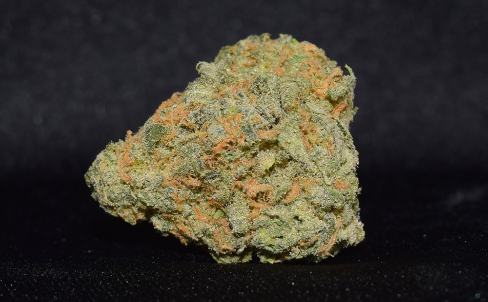 Super Silver Lemon Haze strain, Cannabist marijuana review