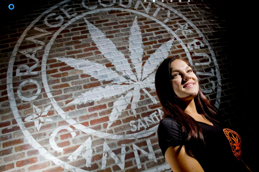 Working with weed: Meet a budtender