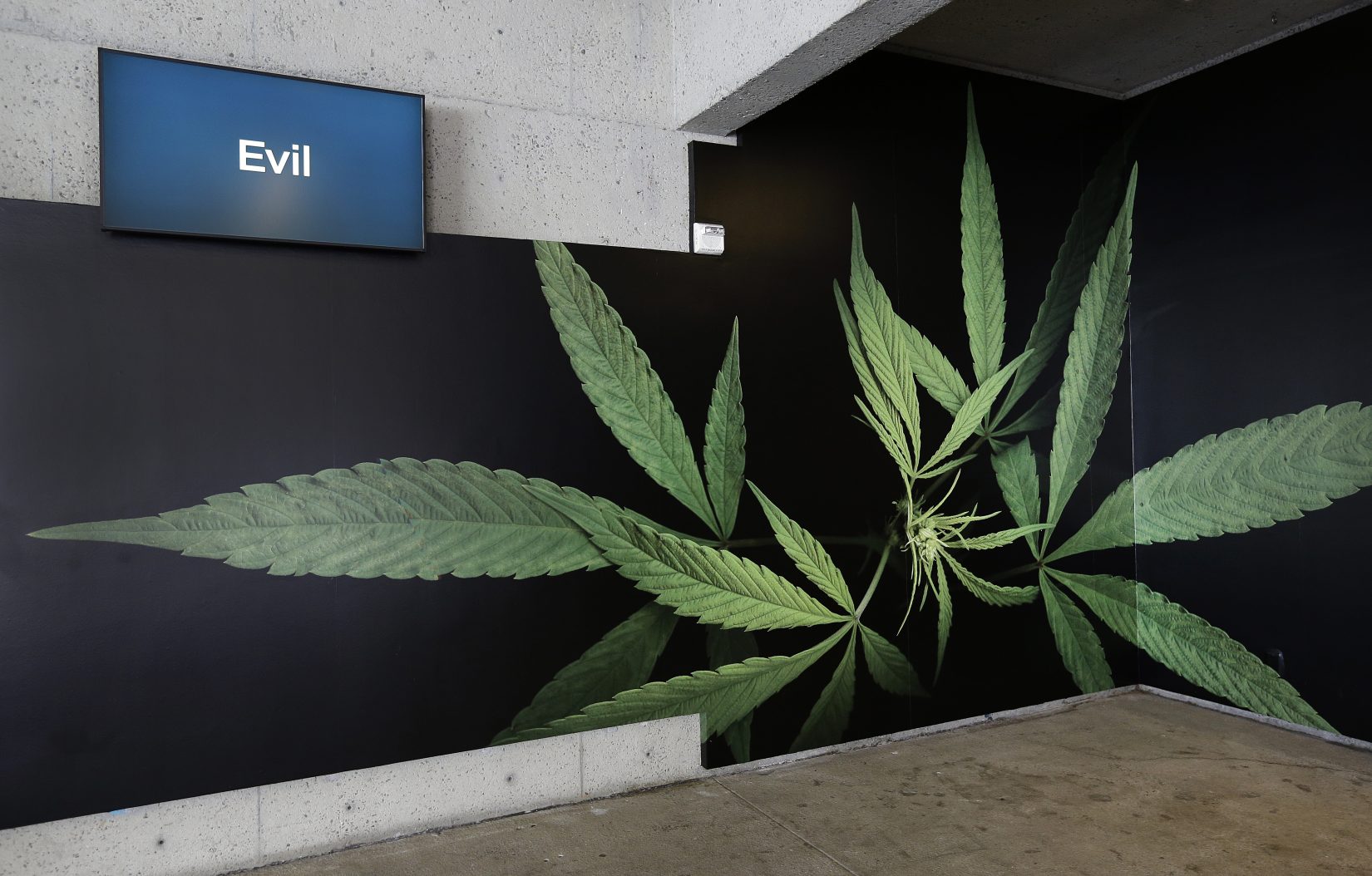 Museum Marijuana